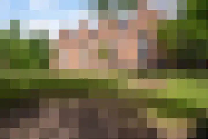 Achter de Grote Kerk 25 Leeuwarden thumbnail 50