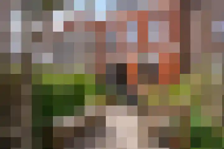 Achter de Grote Kerk 25 Leeuwarden thumbnail 6