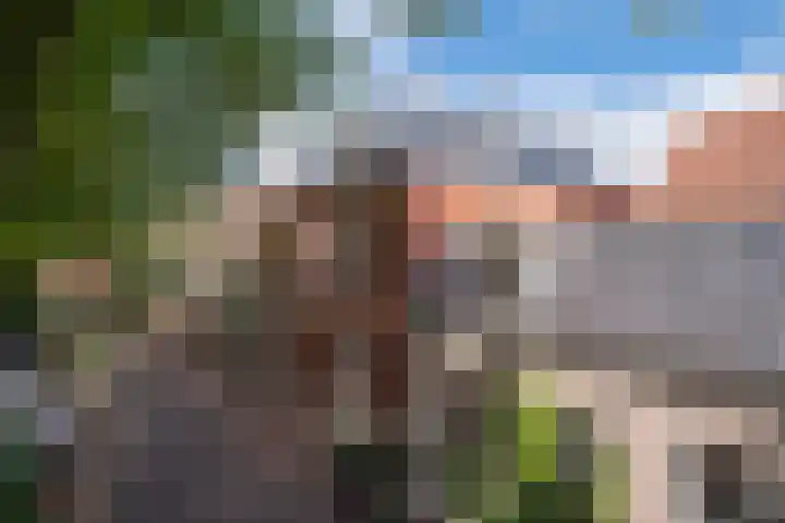 Achter de Grote Kerk 25 Leeuwarden thumbnail 8