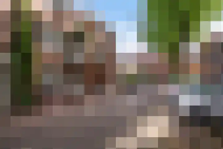 Achter de Grote Kerk 25 Leeuwarden thumbnail 9