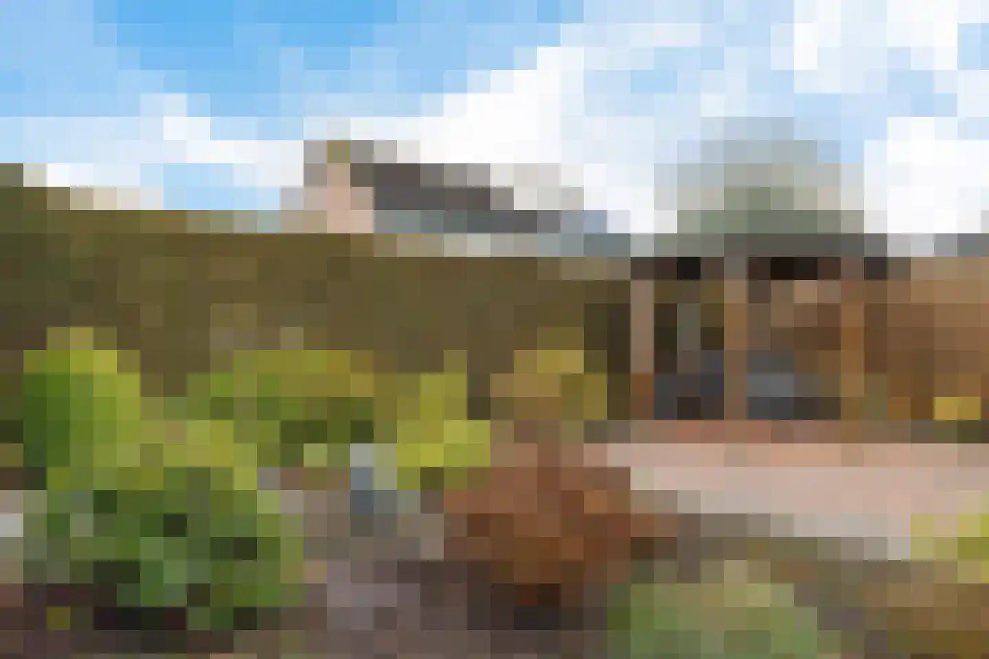 Achter de Hare 8 Vollenhove thumbnail 21
