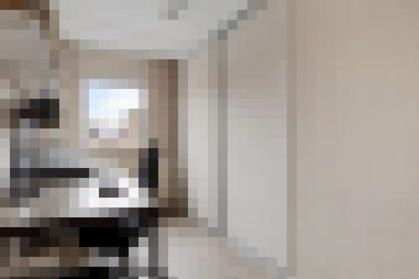 Achter de Hare 8 Vollenhove thumbnail 25