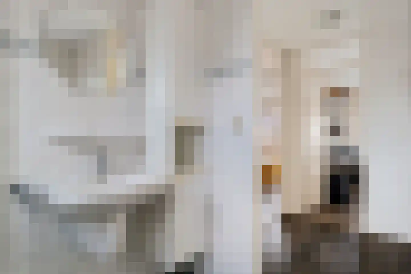 Achter de Hare 8 Vollenhove thumbnail 30