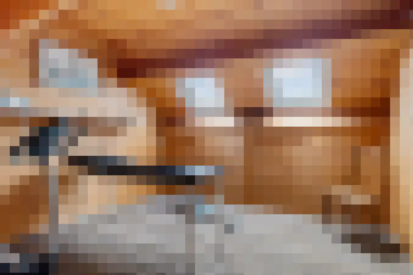 Achter de Hare 8 Vollenhove thumbnail 31