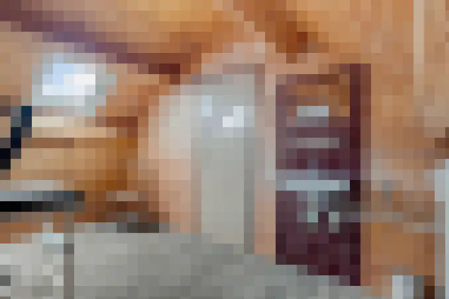 Achter de Hare 8 Vollenhove thumbnail 32