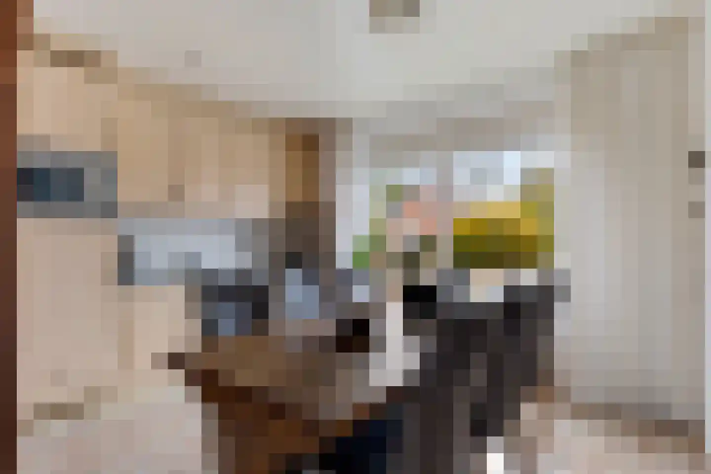 Achter de Hare 8 Vollenhove thumbnail 4