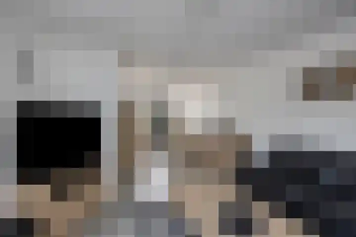 Achter de Hegge 3 Urmond thumbnail 11
