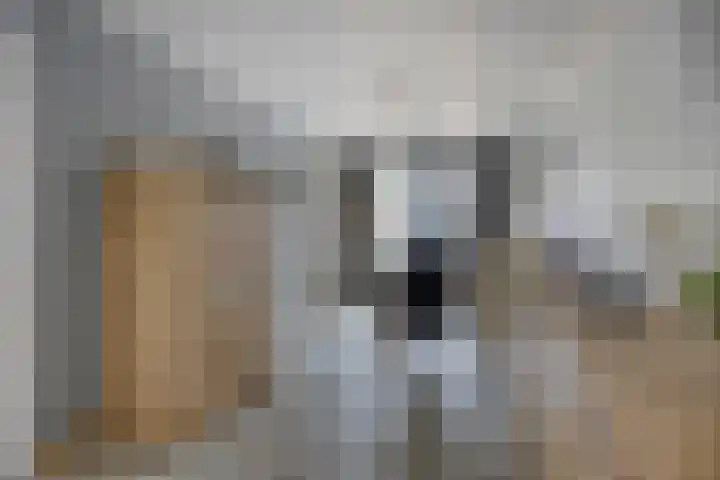 Achter de Hegge 3 Urmond thumbnail 13