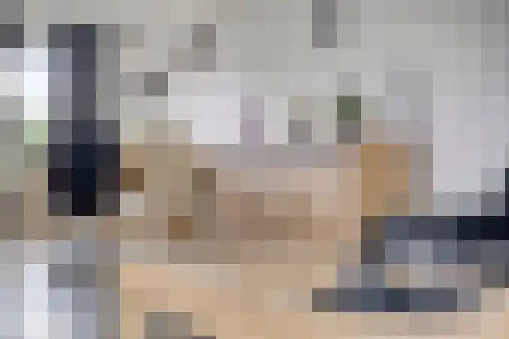 Achter de Hegge 3 Urmond thumbnail 14