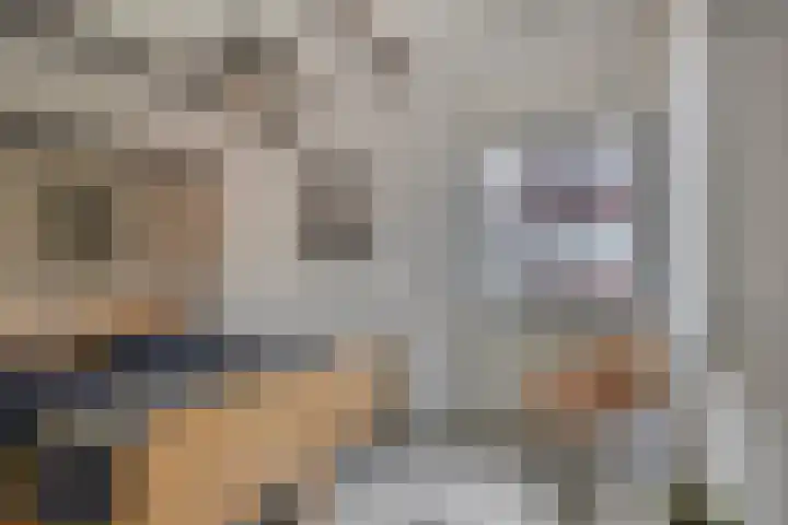 Achter de Hegge 3 Urmond thumbnail 22