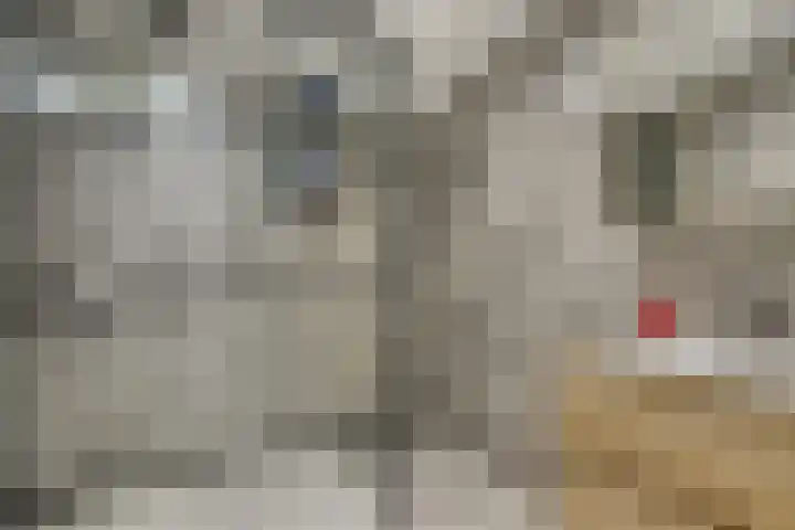 Achter de Hegge 3 Urmond thumbnail 24