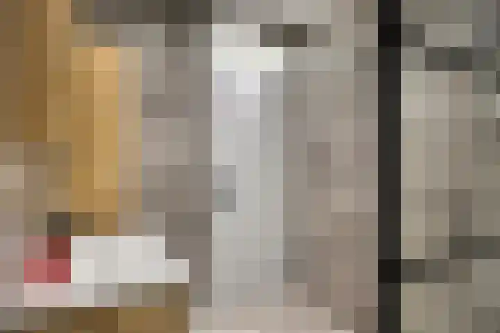 Achter de Hegge 3 Urmond thumbnail 25