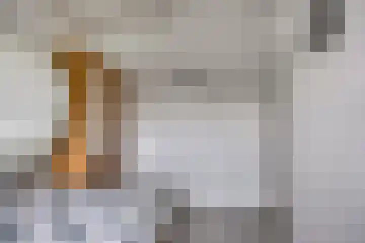 Achter de Hegge 3 Urmond thumbnail 29