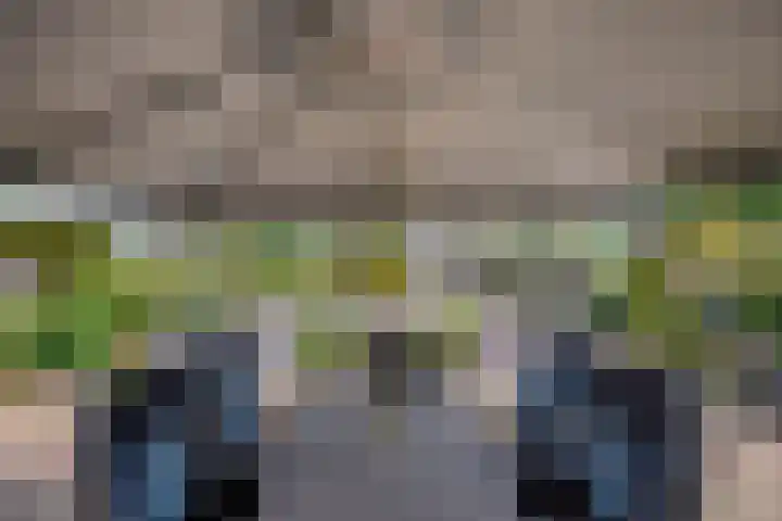 Achter de Hegge 3 Urmond thumbnail 31