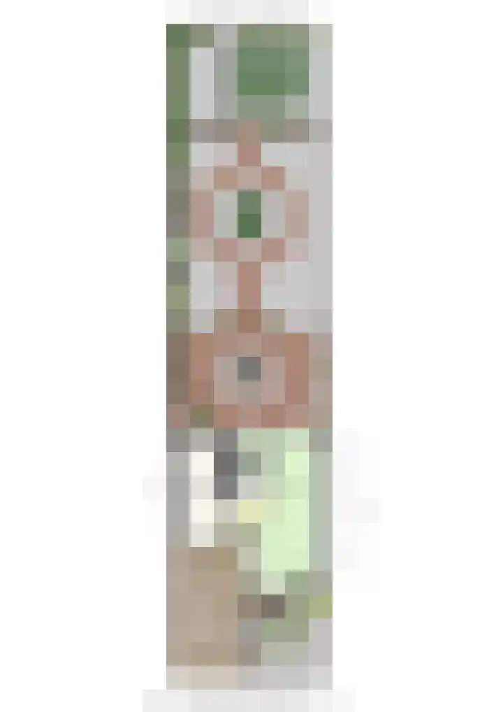 Achter de Hegge 3 Urmond thumbnail 39