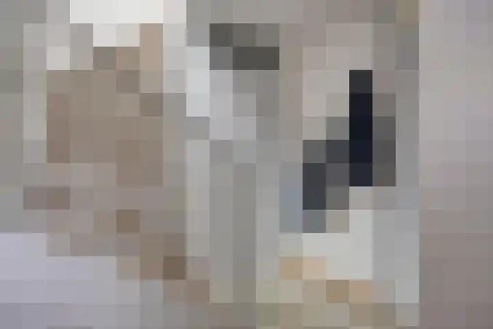 Achter de Hegge 3 Urmond thumbnail 8