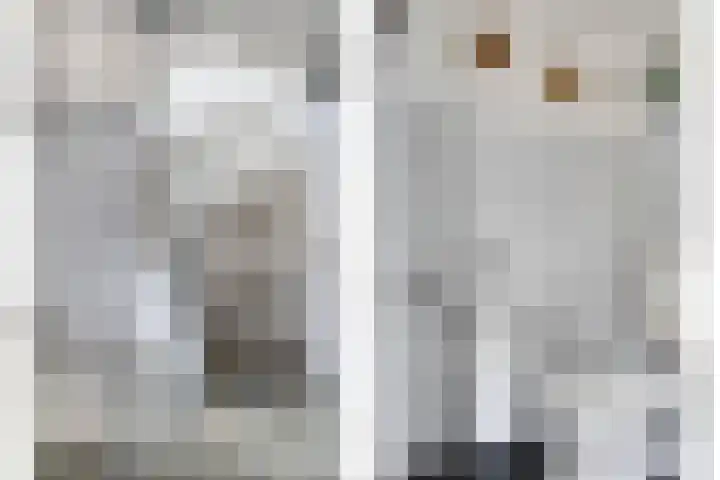 Achter de Hegge 3 Urmond thumbnail 9