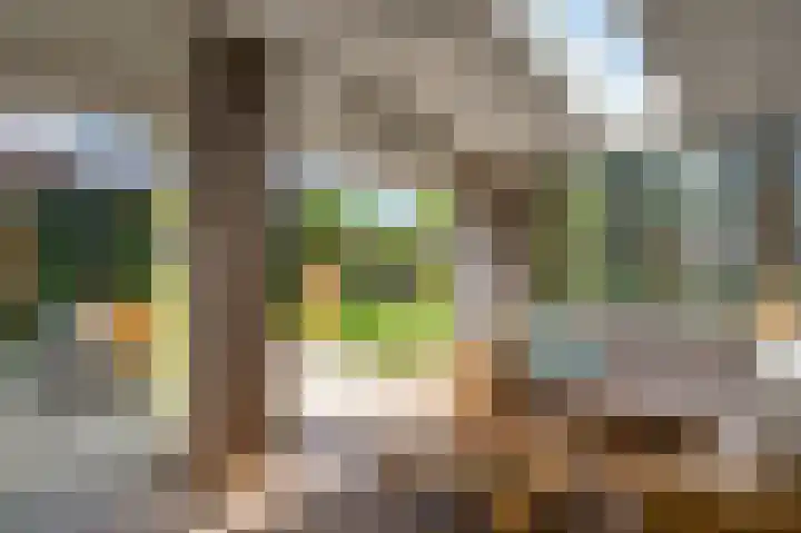 Achter de Heggen 38 Landgraaf thumbnail 24