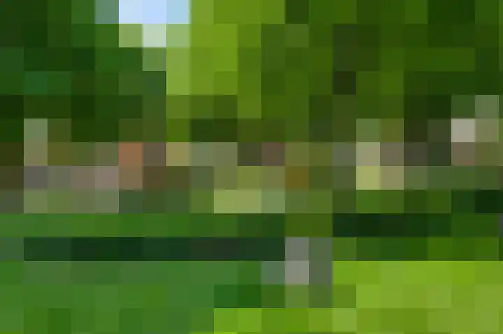 Achter de Heggen 38 Landgraaf thumbnail 5