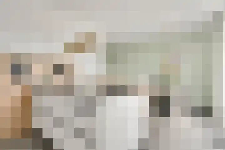 Achter de Heggen 9 Landgraaf thumbnail 12