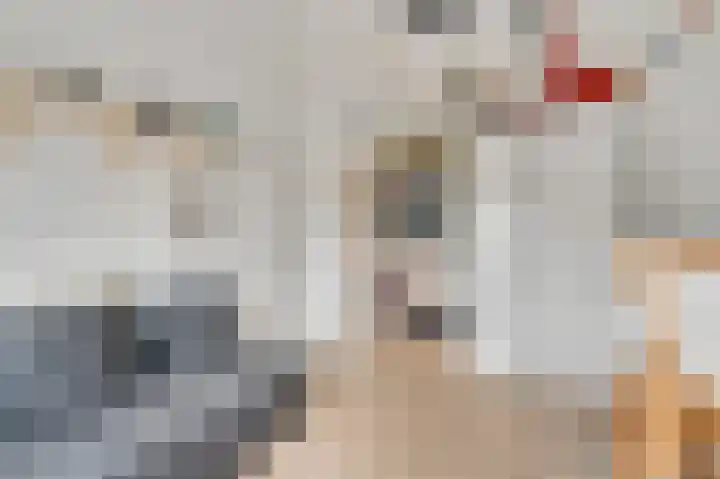 Achter de Heggen 9 Landgraaf thumbnail 17