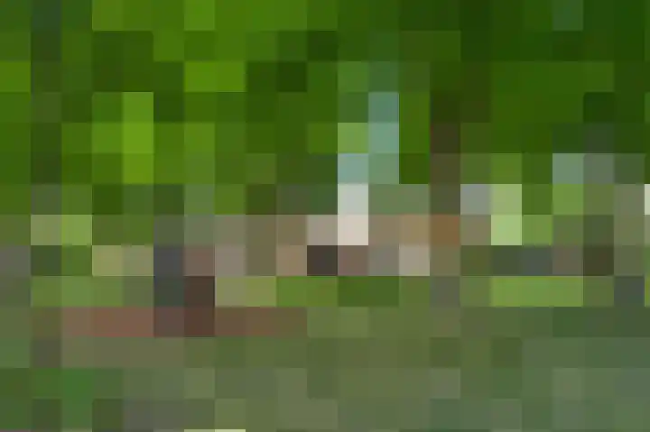 Achter de Heggen 9 Landgraaf thumbnail 6