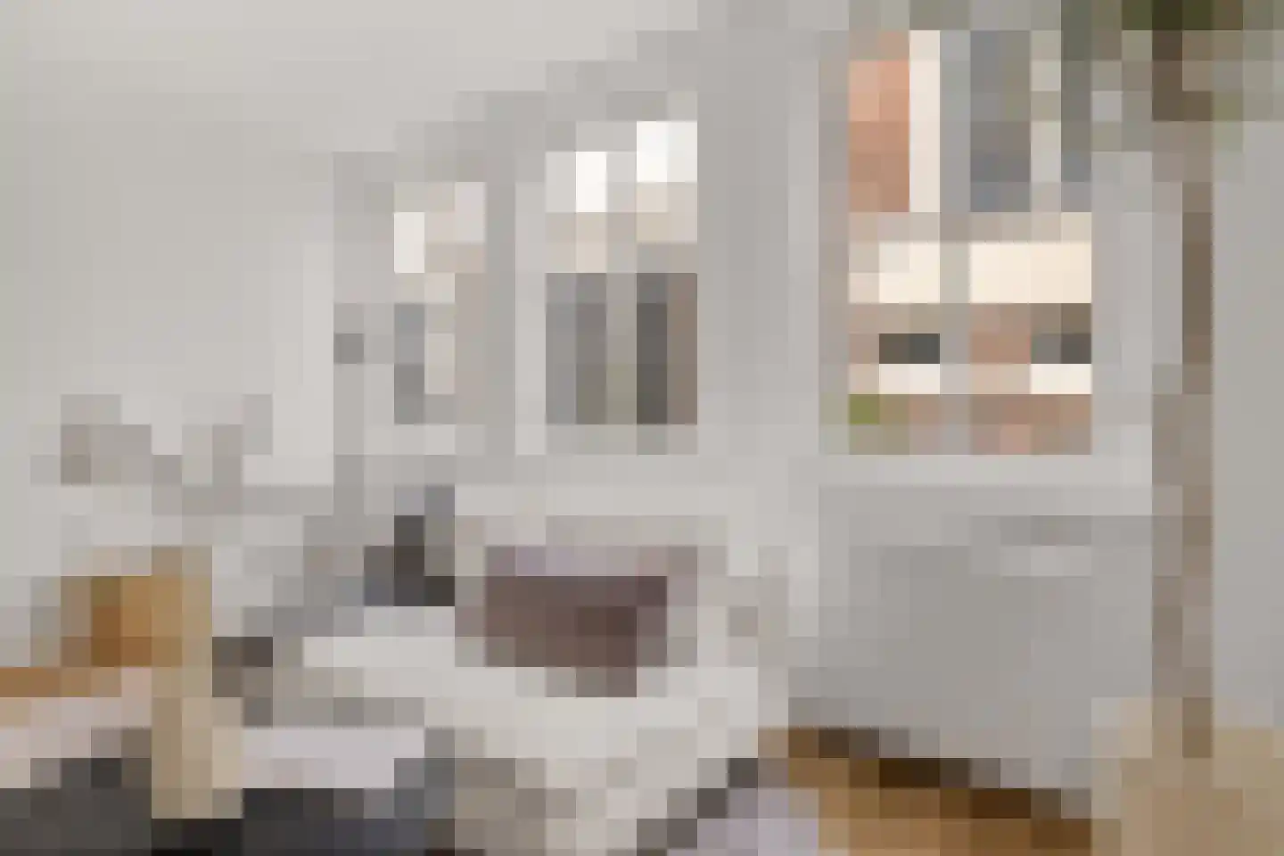Achter de Heilige Geest 3 Amersfoort thumbnail 10