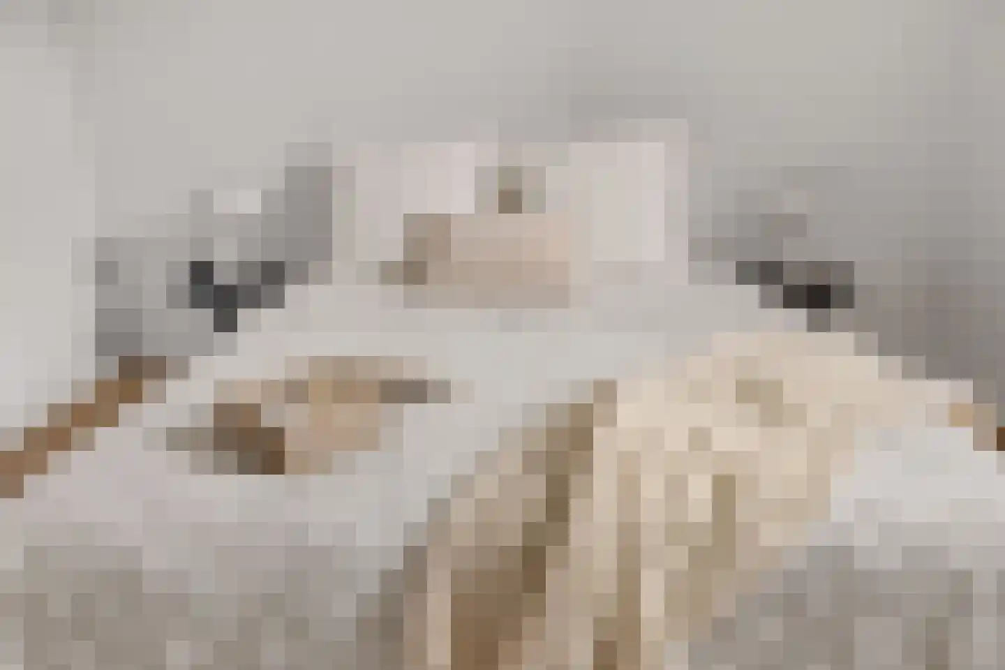 Achter de Heilige Geest 3 Amersfoort thumbnail 24