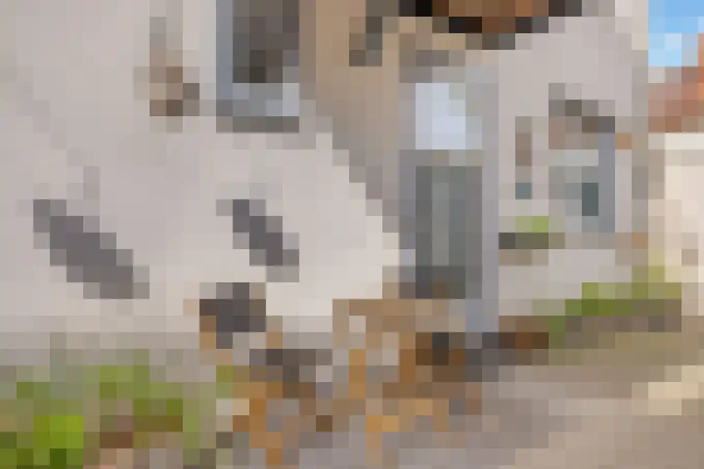 Achter de Heilige Geest 3 Amersfoort thumbnail 33