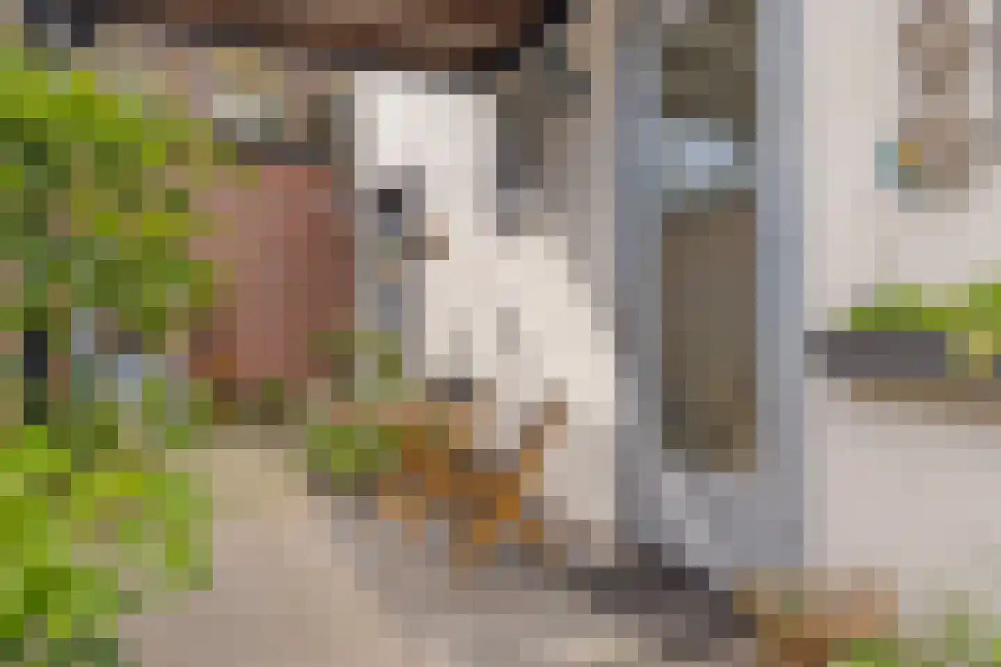 Achter de Heilige Geest 3 Amersfoort thumbnail 34