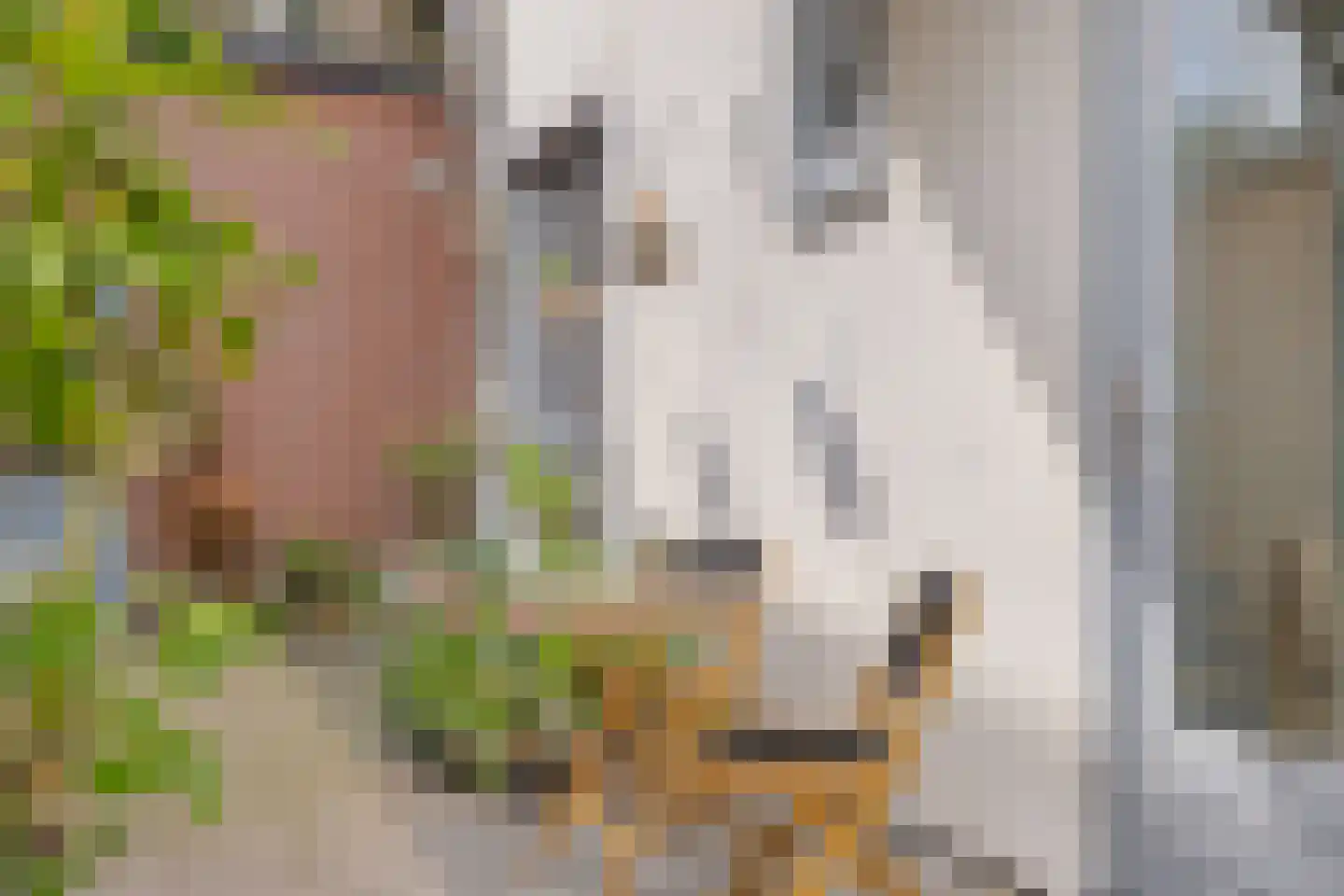 Achter de Heilige Geest 3 Amersfoort thumbnail 35