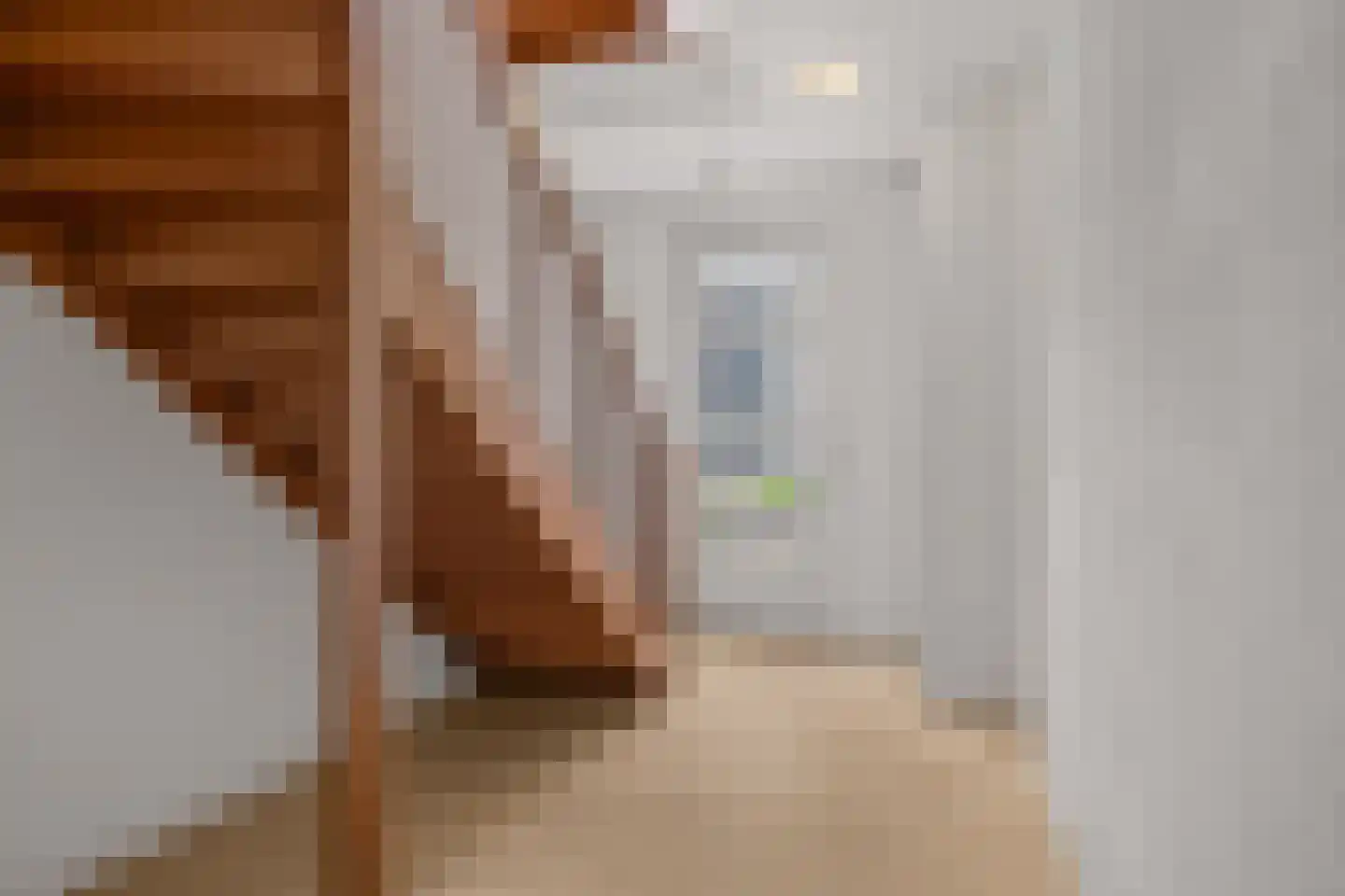 Achter de Heilige Geest 3 Amersfoort thumbnail 39