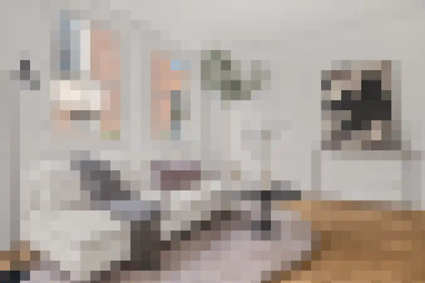 Achter de Heilige Geest 3 Amersfoort thumbnail 8