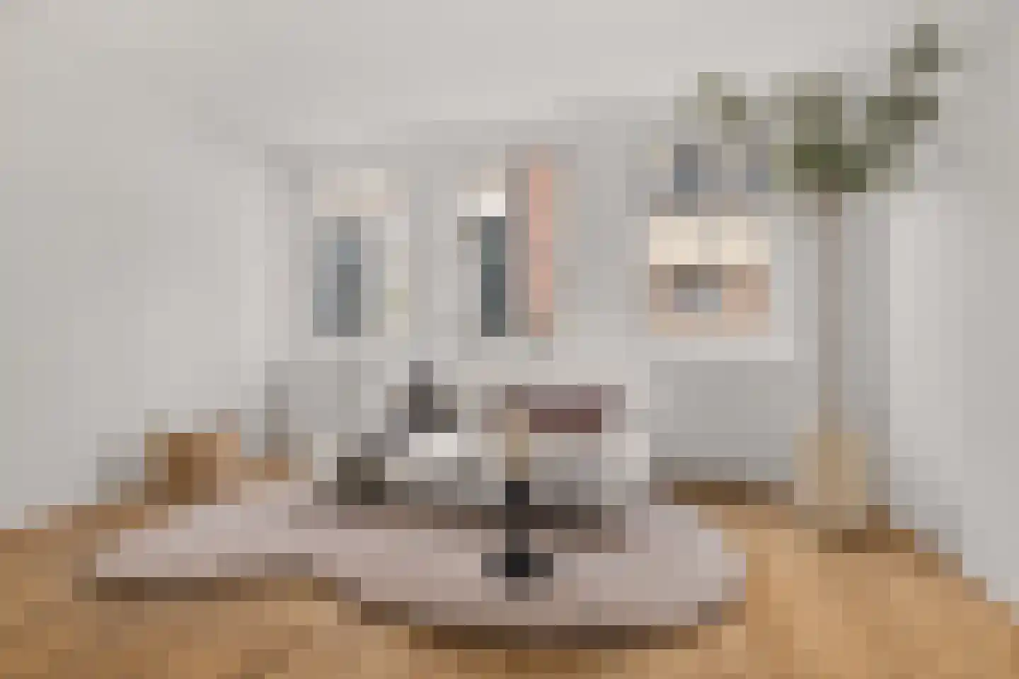 Achter de Heilige Geest 3 Amersfoort thumbnail 9