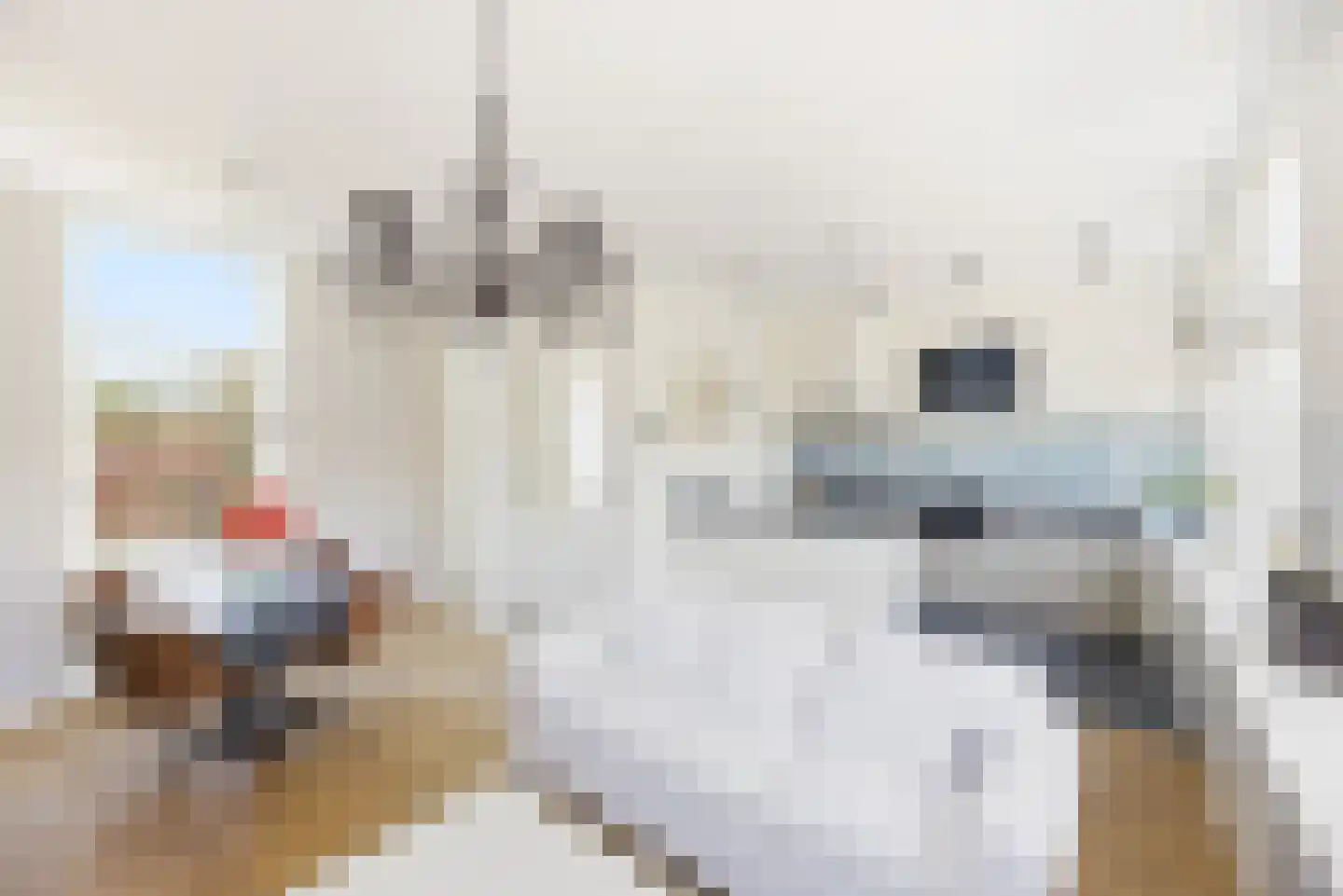 Achter de Houttuinen 42 Middelburg thumbnail 18