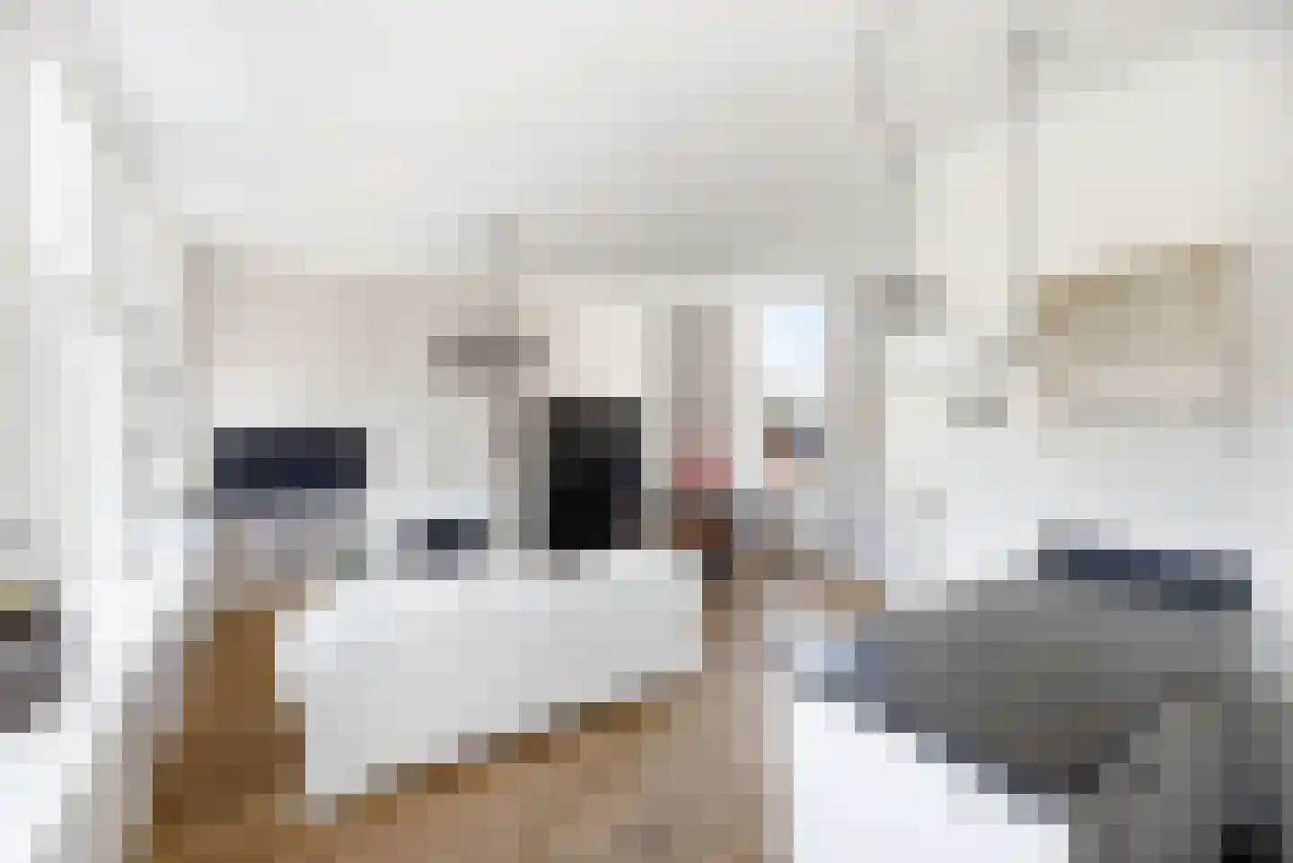 Achter de Houttuinen 42 Middelburg thumbnail 19
