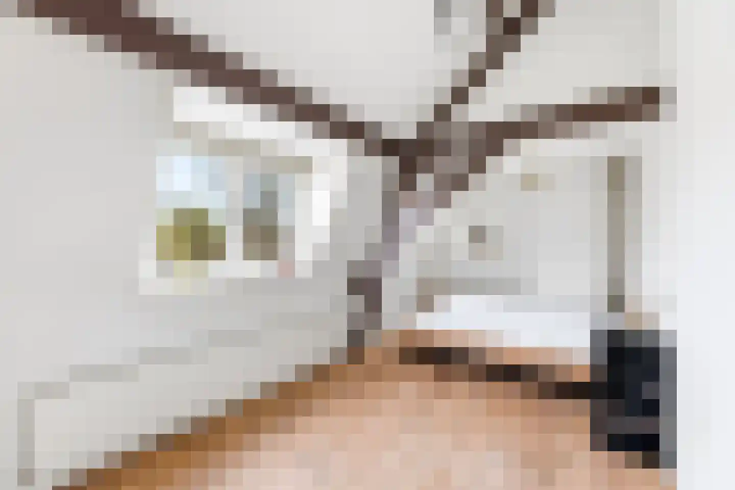 Achter de Houttuinen 42 Middelburg thumbnail 4