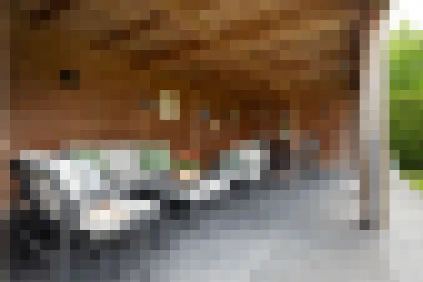 Achter de Hoven 1 a Sprang-Capelle thumbnail 34