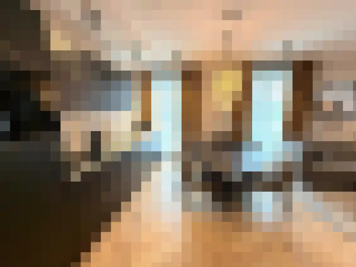 Achter de Hoven 1 Leeuwarden thumbnail 5