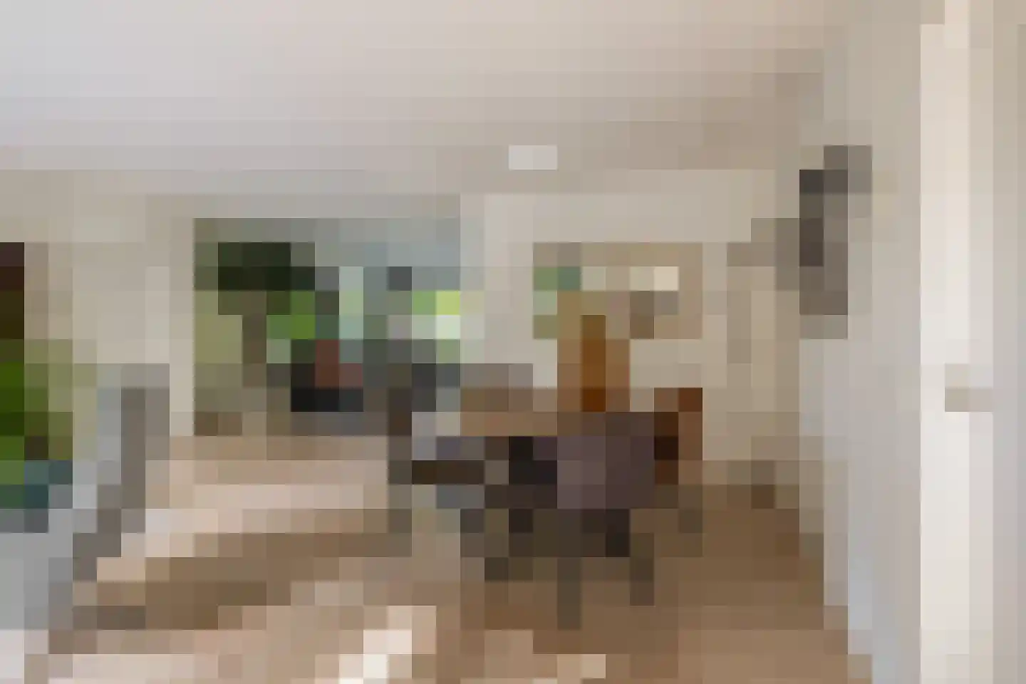 Achter de Hoven 10 Sprang-Capelle thumbnail 13