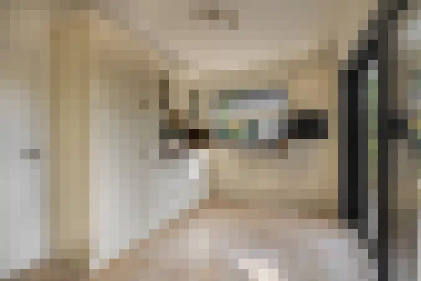 Achter de Hoven 10 Sprang-Capelle thumbnail 15