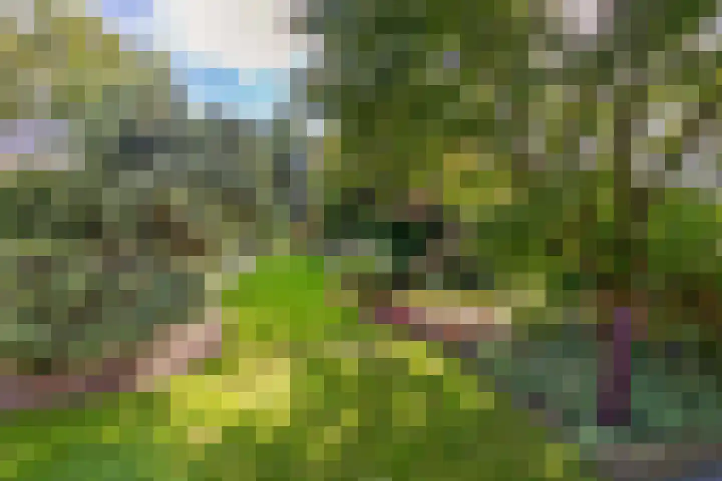 Achter de Hoven 10 Sprang-Capelle thumbnail 20