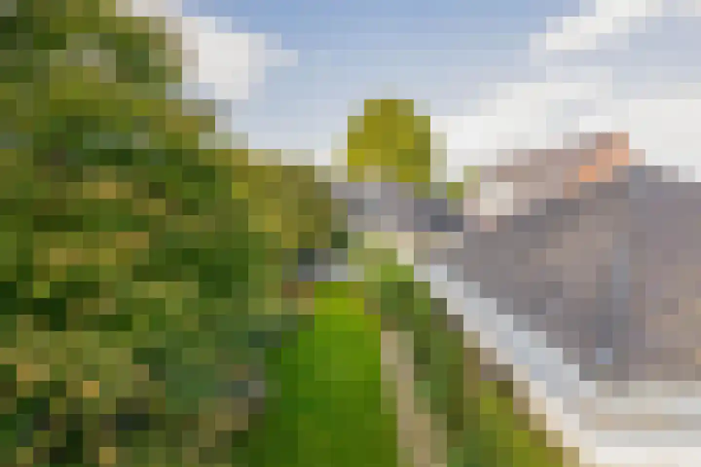 Achter de Hoven 10 Sprang-Capelle thumbnail 23