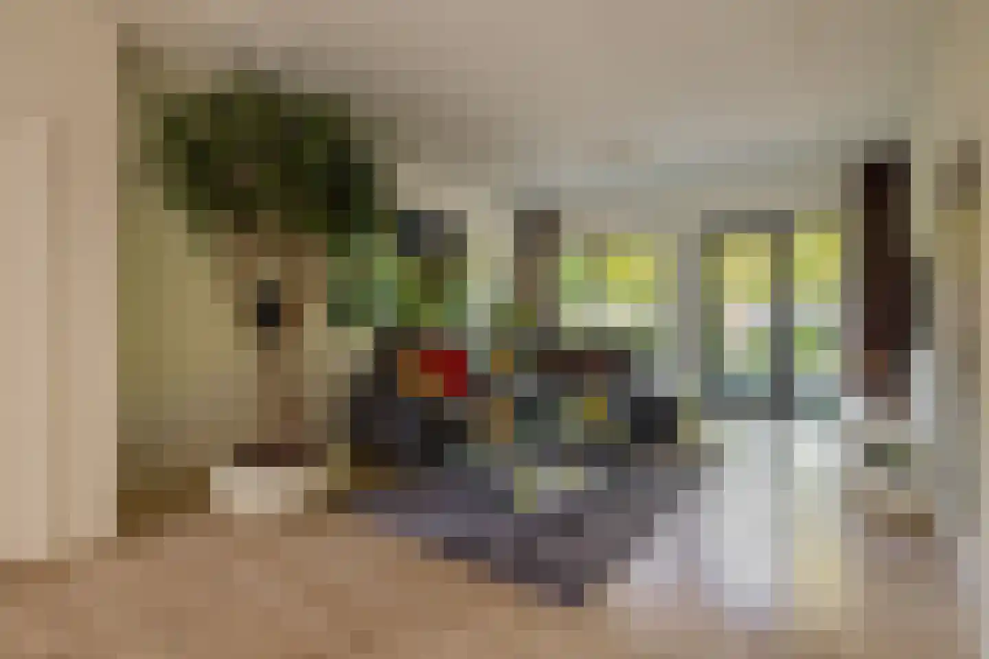 Achter de Hoven 10 Sprang-Capelle thumbnail 8