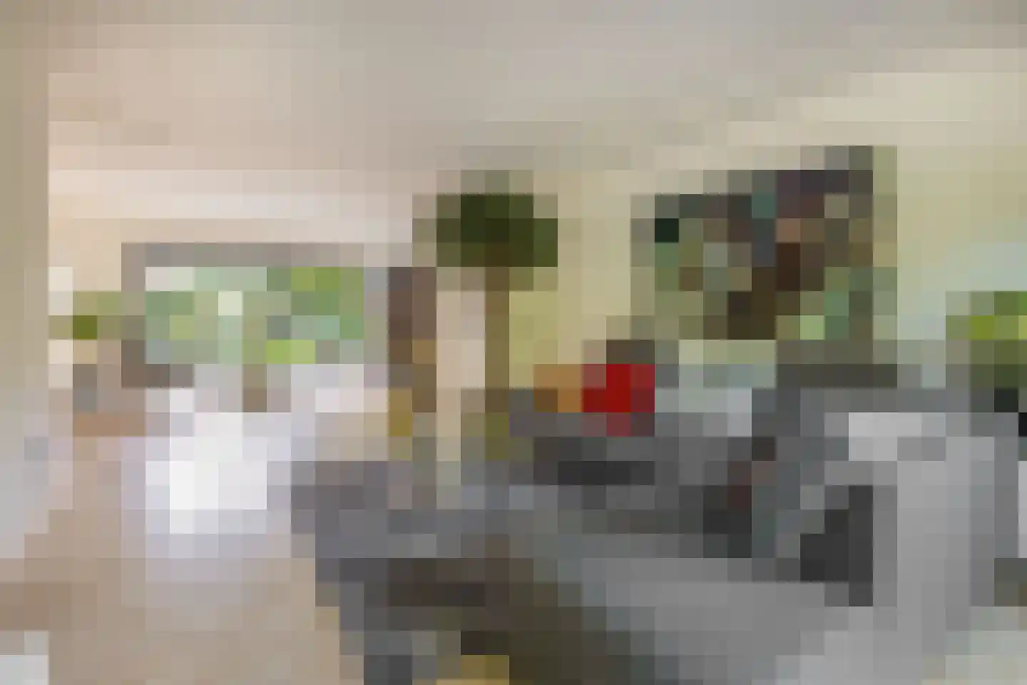 Achter de Hoven 10 Sprang-Capelle thumbnail 9