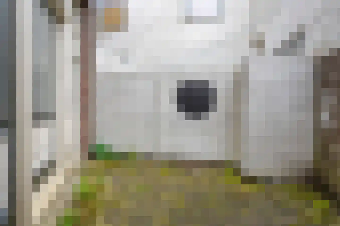 Achter de Hoven 101 Leeuwarden thumbnail 19