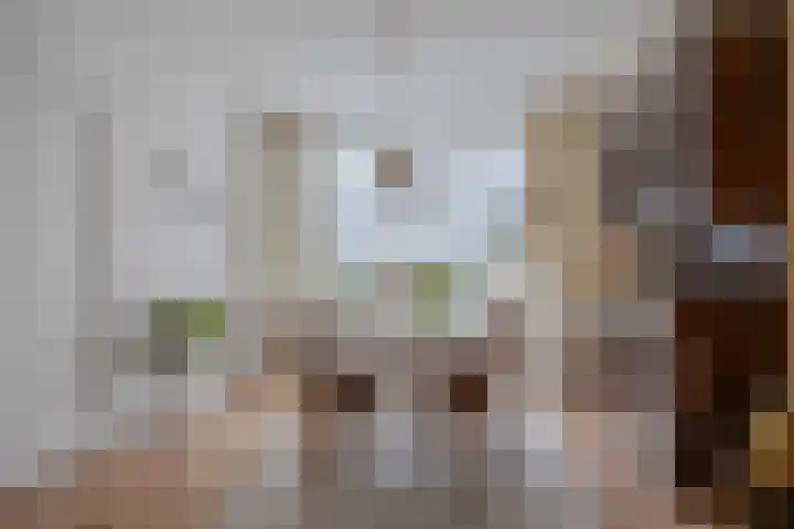Achter de Hoven 105 Leeuwarden thumbnail 10