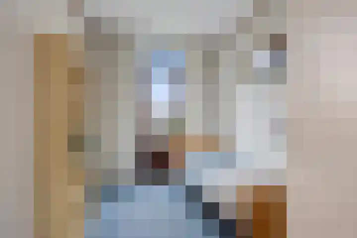 Achter de Hoven 105 Leeuwarden thumbnail 19