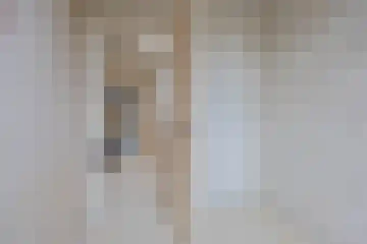 Achter de Hoven 105 Leeuwarden thumbnail 28
