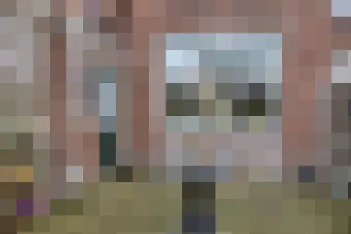 Achter de Hoven 105 Leeuwarden thumbnail 30